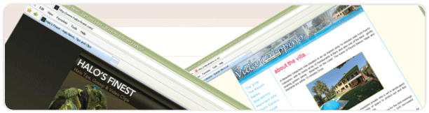 Web Design Portfolio